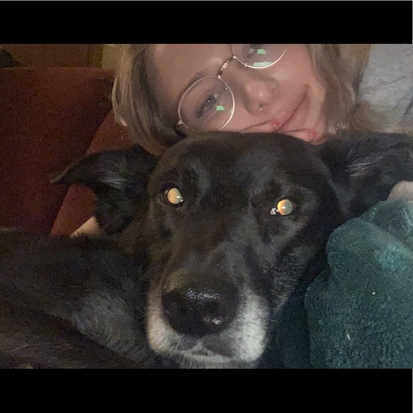 Meet The Posher - Picture 2 of 4